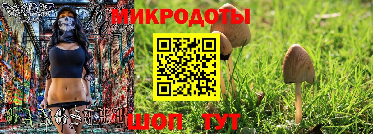 Скопин  Галлюциногенные грибы Psilocybine cubensis  Вход с VPN  Галлюциногенные грибы GOLDEN TEACHER 