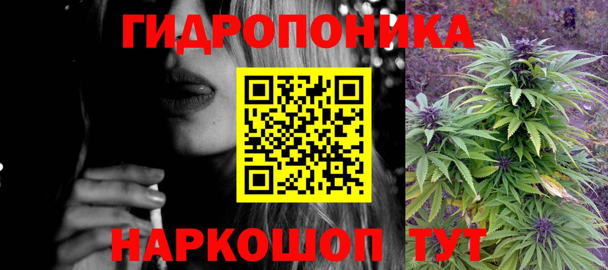 Каннабис марихуана  Каннабис сатива  Шишки марихуана план  Вход с VPN  Скопин 